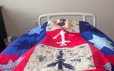 Another quilt in use…