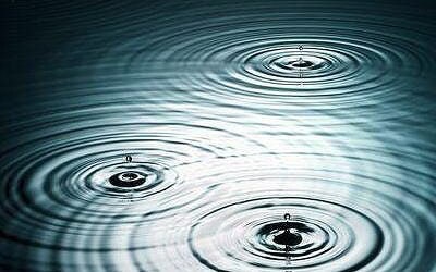 Request List 27 January 26