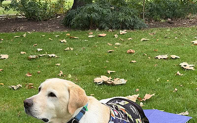 Grati-Wednesday 4th March 2026