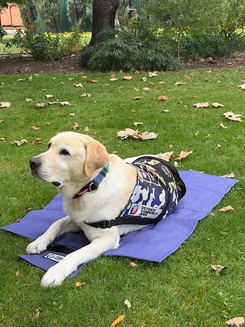 Grati-Wednesday 4th March 2026